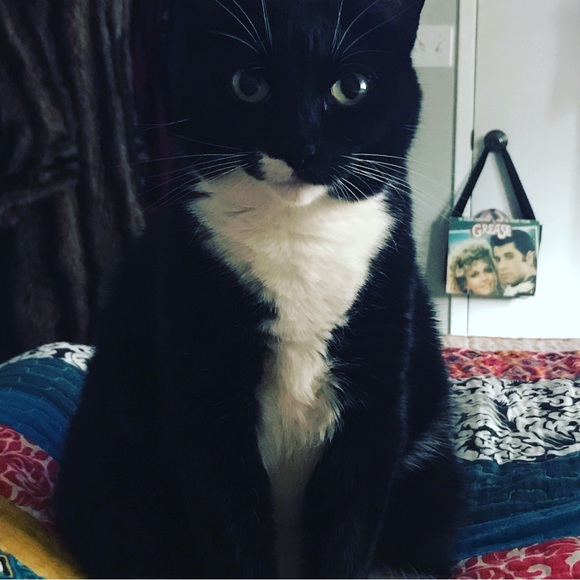 Meet your Posher, Jaimee - Picture 15 of 15